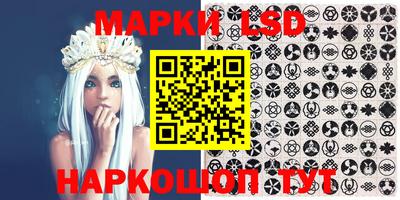 шишки Новокубанск