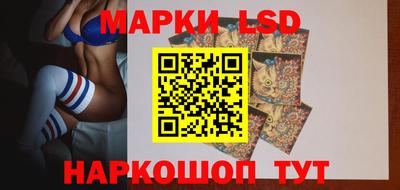 шишки Новокубанск