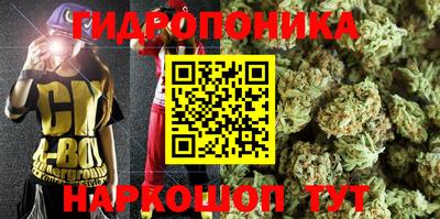 бошки Новозыбков
