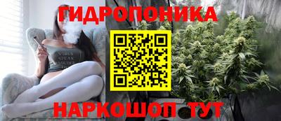 каннабис Новодвинск