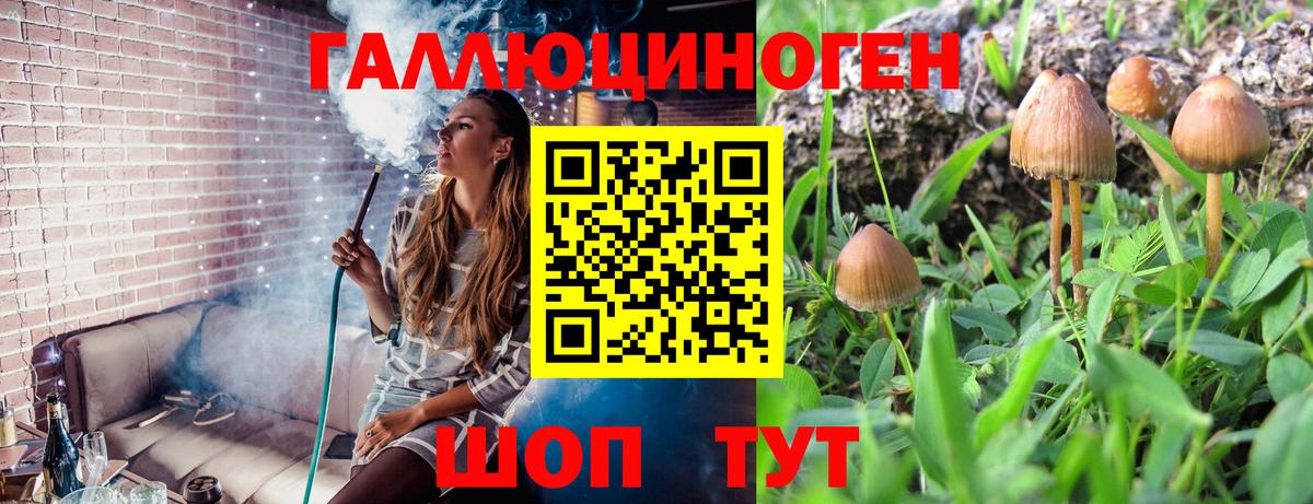 Псилоцибиновые грибы прущие грибы  Вход с VPN  Галлюциногенные грибы мухоморы  Удомля 
