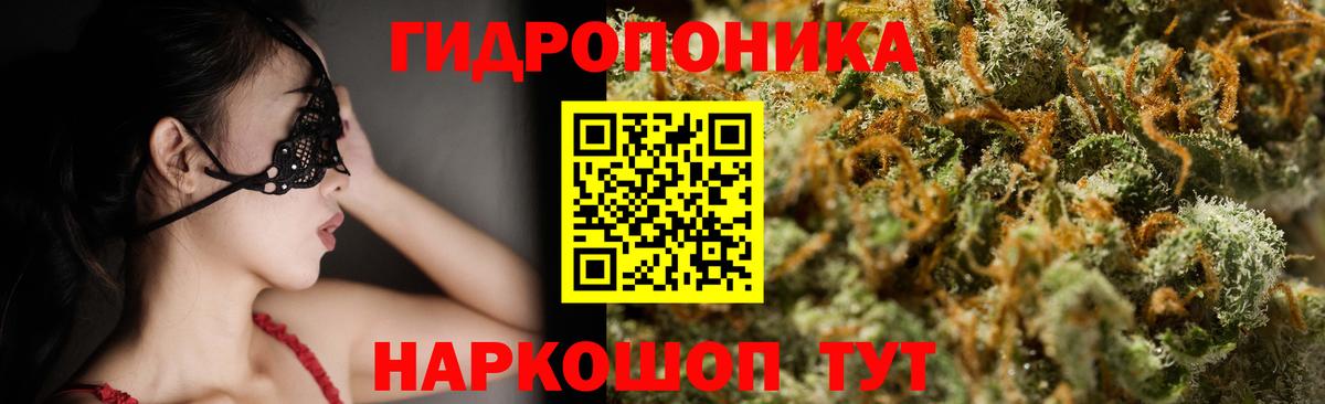 Конопля MAZAR  Вход с VPN  Удомля  Бошки Шишки семена 